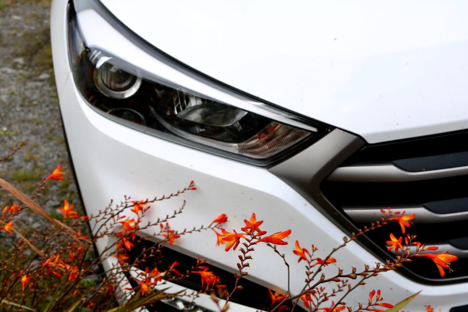 Park automotive parked car