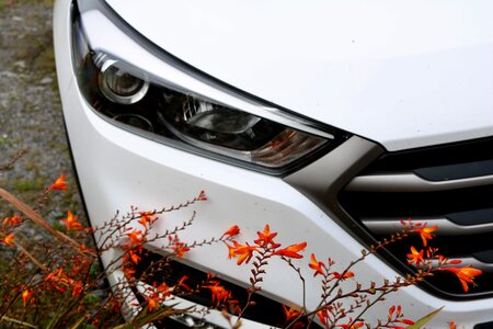 Park automotive parked car