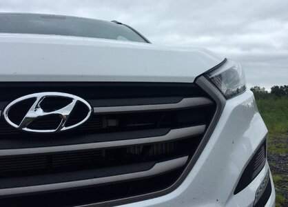Lights hood white