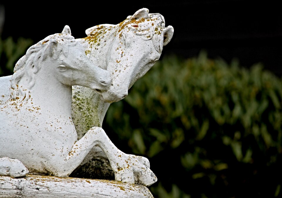 Art horse head statue