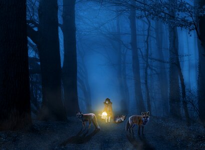 Mystery little red riding hood fox photo