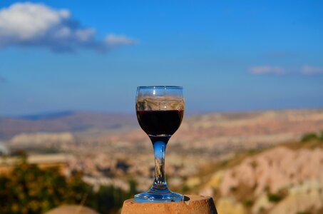 Landscape a toast red wine
