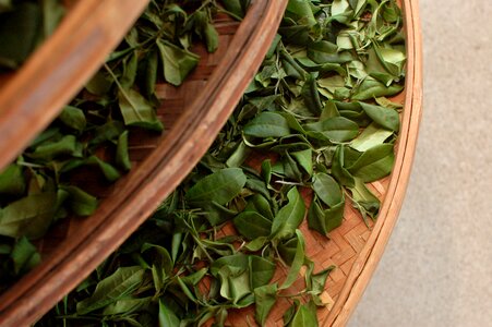 Tea tea sieve Free photos