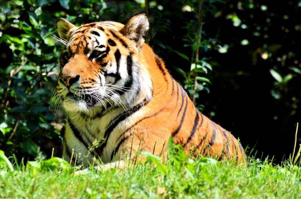 Tiergarten zoo tierpark hellabrunn