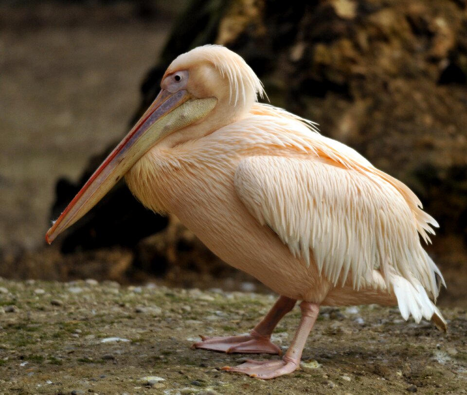 Zoo hellabrunn munich