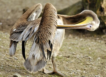 Zoo hellabrunn munich