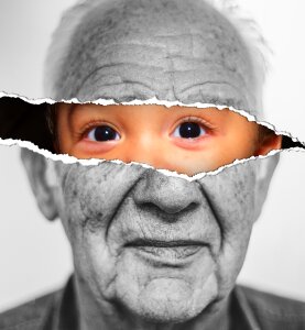 Adult lid child