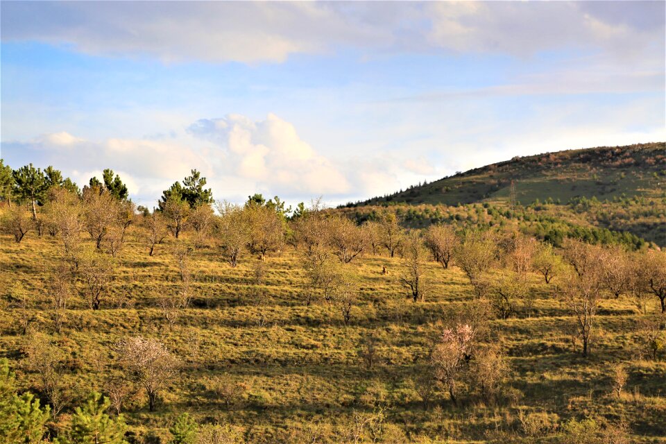 Land sky outdoor