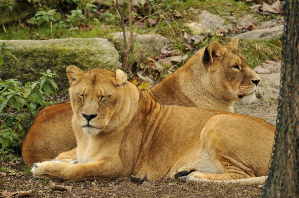 Zoo hellabrunn munich