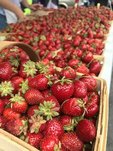 Basket fruit food photo