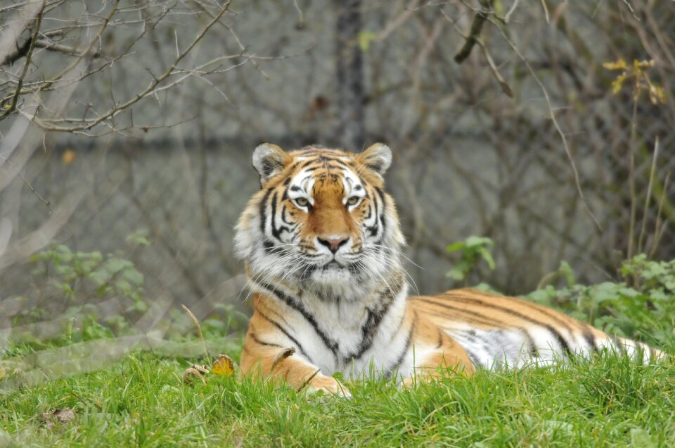Zoo hellabrunn munich