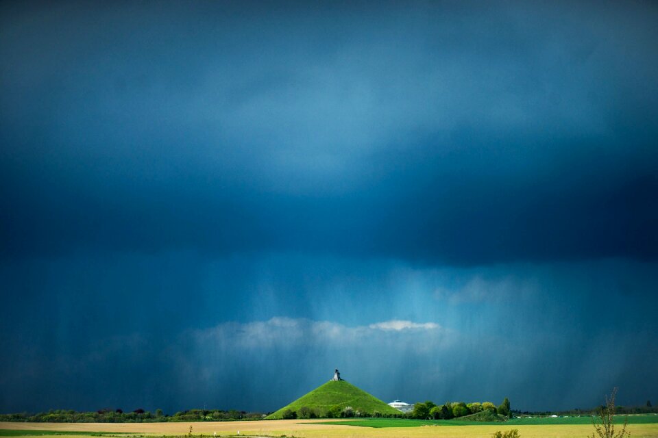 Green grass field