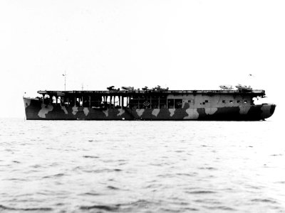 USS Long Island (AVG-1) in Measure 12 camouflage - 19-N-27986