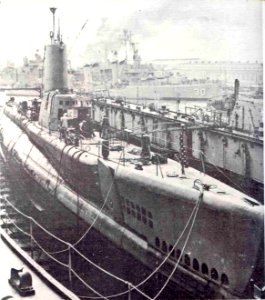 USS Medregal (SS-480) photo