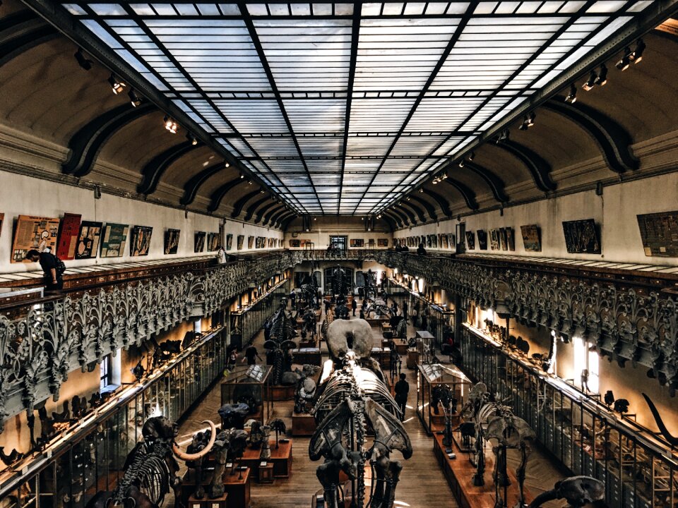Structure establishment museum