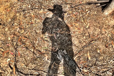 Silhouette person ground