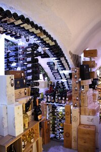 Special wine cellar winemaker