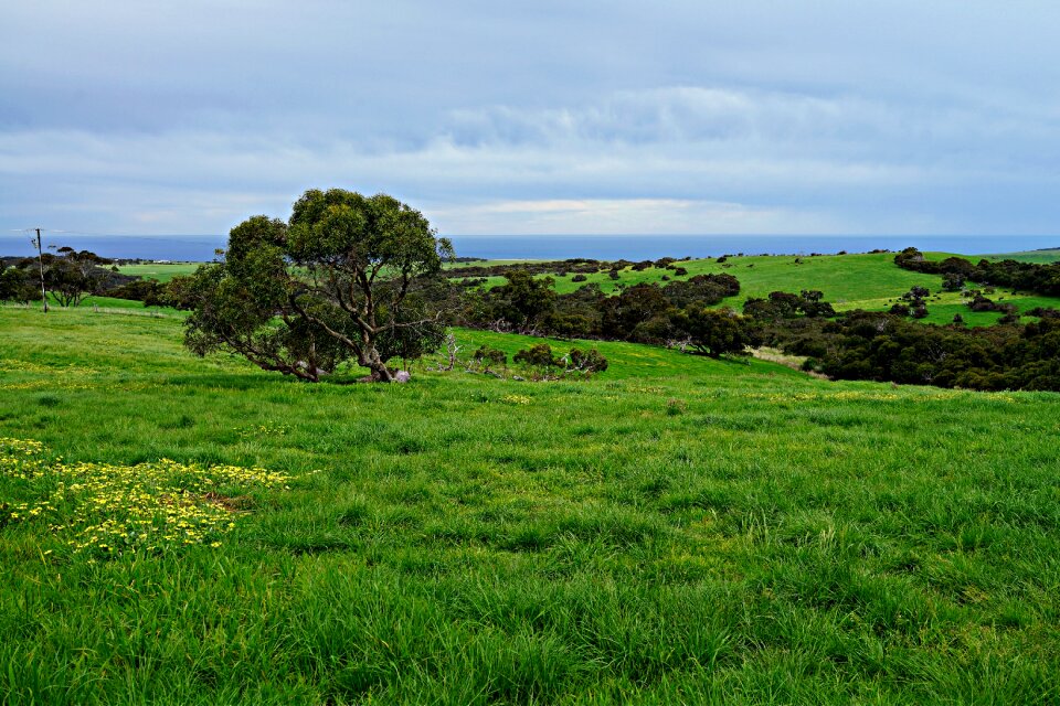 Wind swept rural countryside