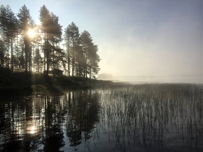 Island lake sunny photo