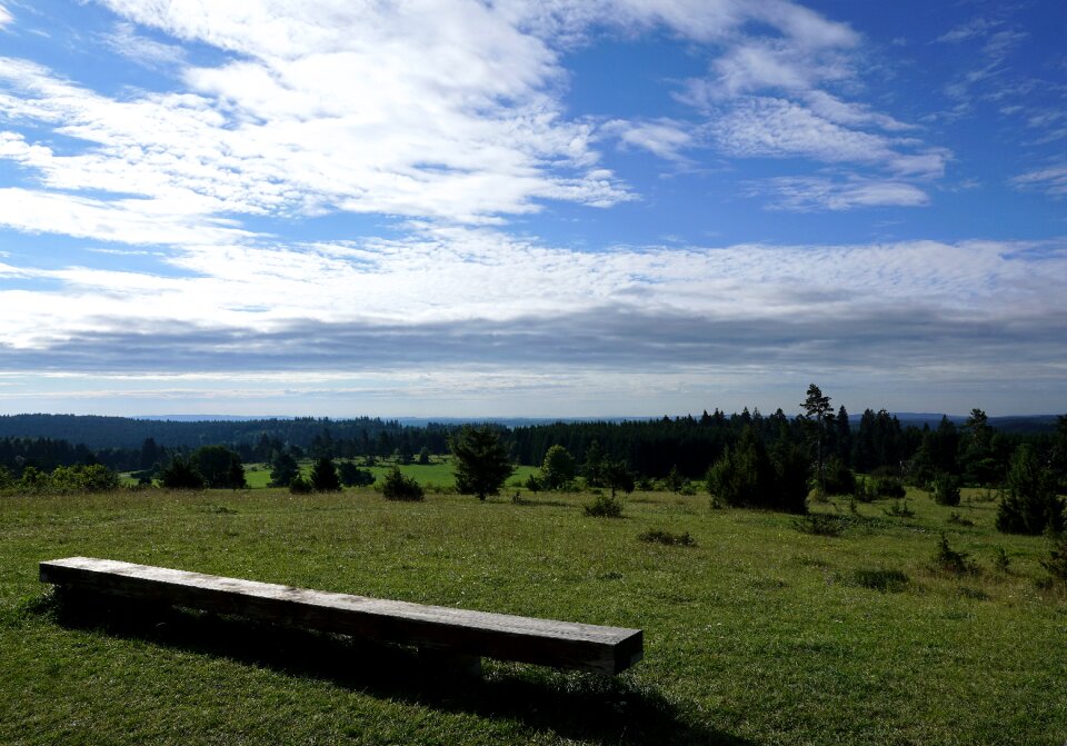 Germany nature forest