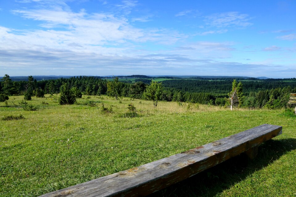 Germany nature forest