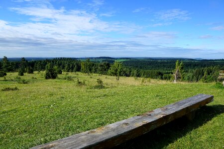 Germany nature forest