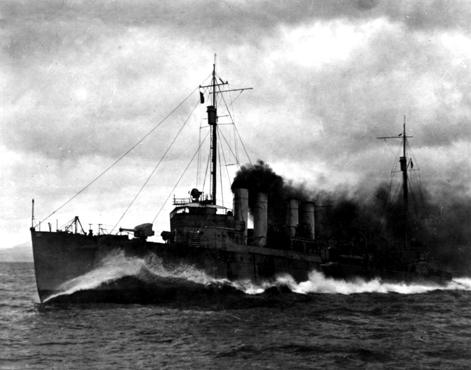USS Palmer (DD-161) underway at high speed, circa in late 1918 (NH 1038)