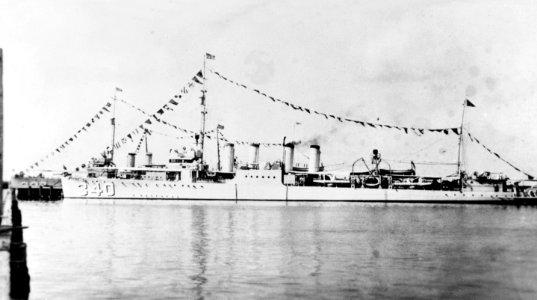 USS Perry (DD-340) at Key West on 4 July 1934 (NH 67111)