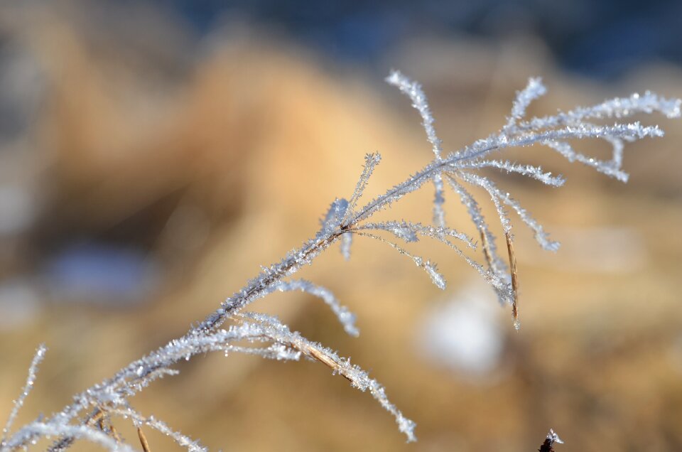 Outdoors snow frozen