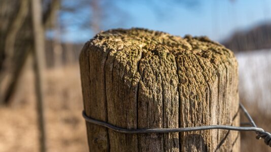Wood wood pile post