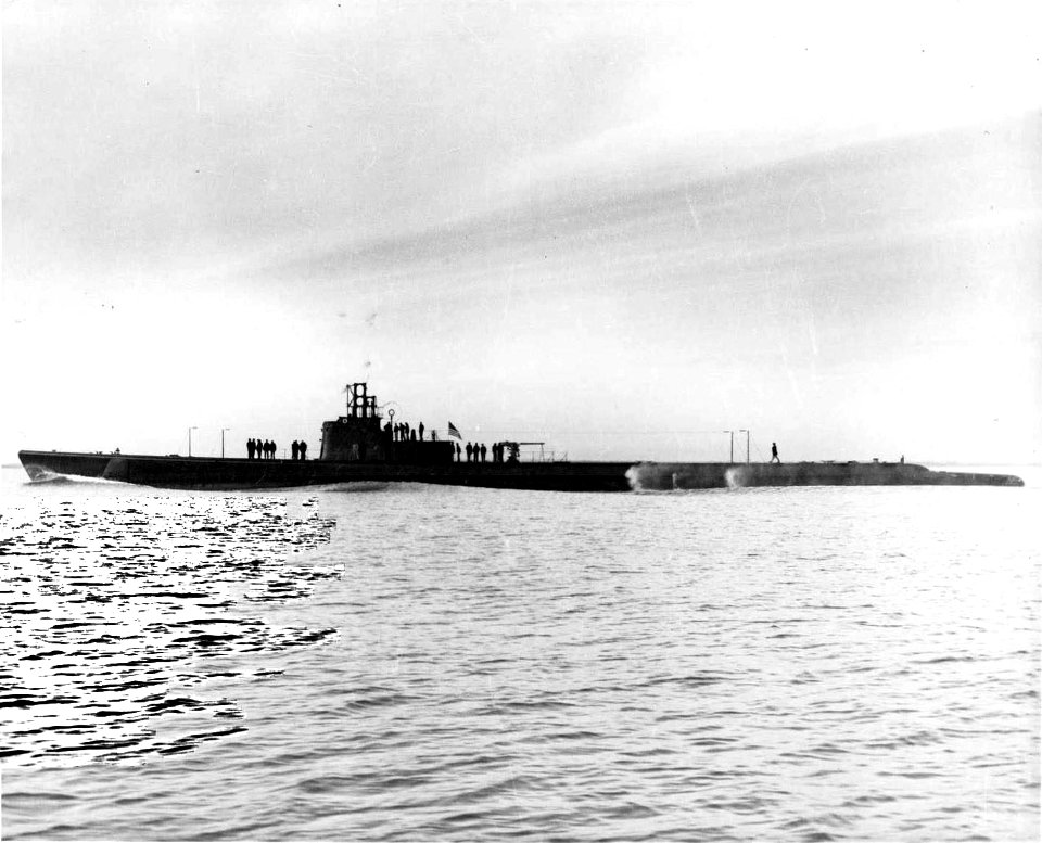 USS Pogy;0826616
