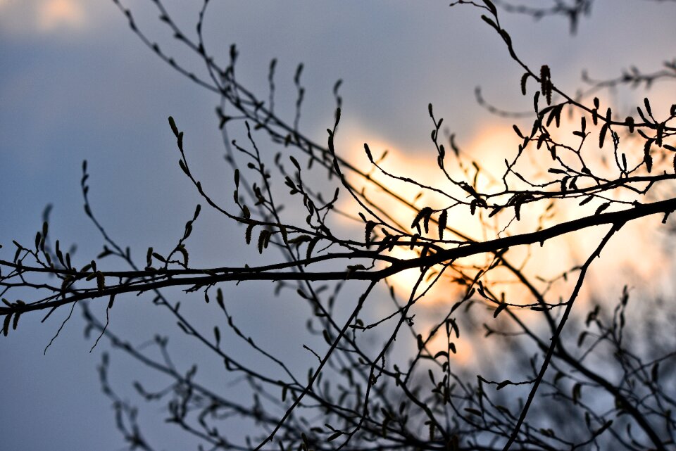 Silhouette sky sun