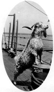 USS Rhode Island (23671005630)