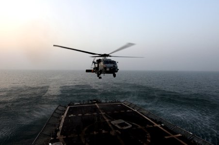 USS Ronald Reagan in the Persian Gulf DVIDS196418
