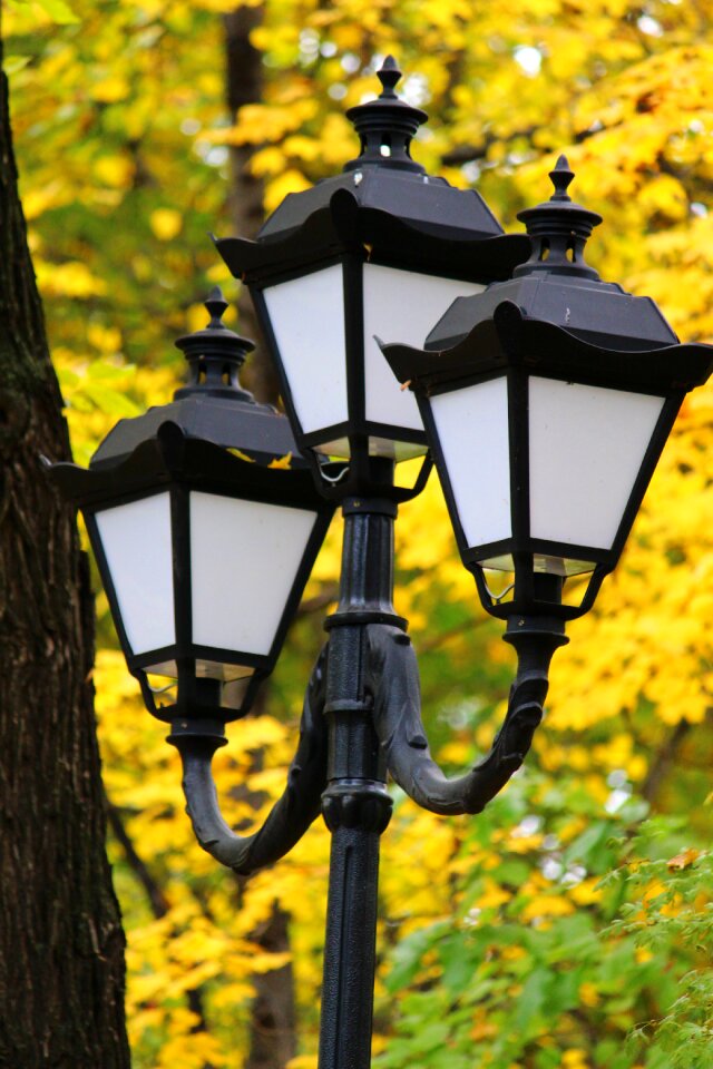 Russia lights city