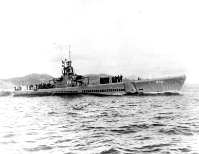 USS Sawfish;0827601