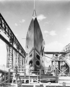 USS Shark (SS-174) - 19-N-16690