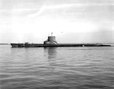 USS Sea Cat;0839902 photo