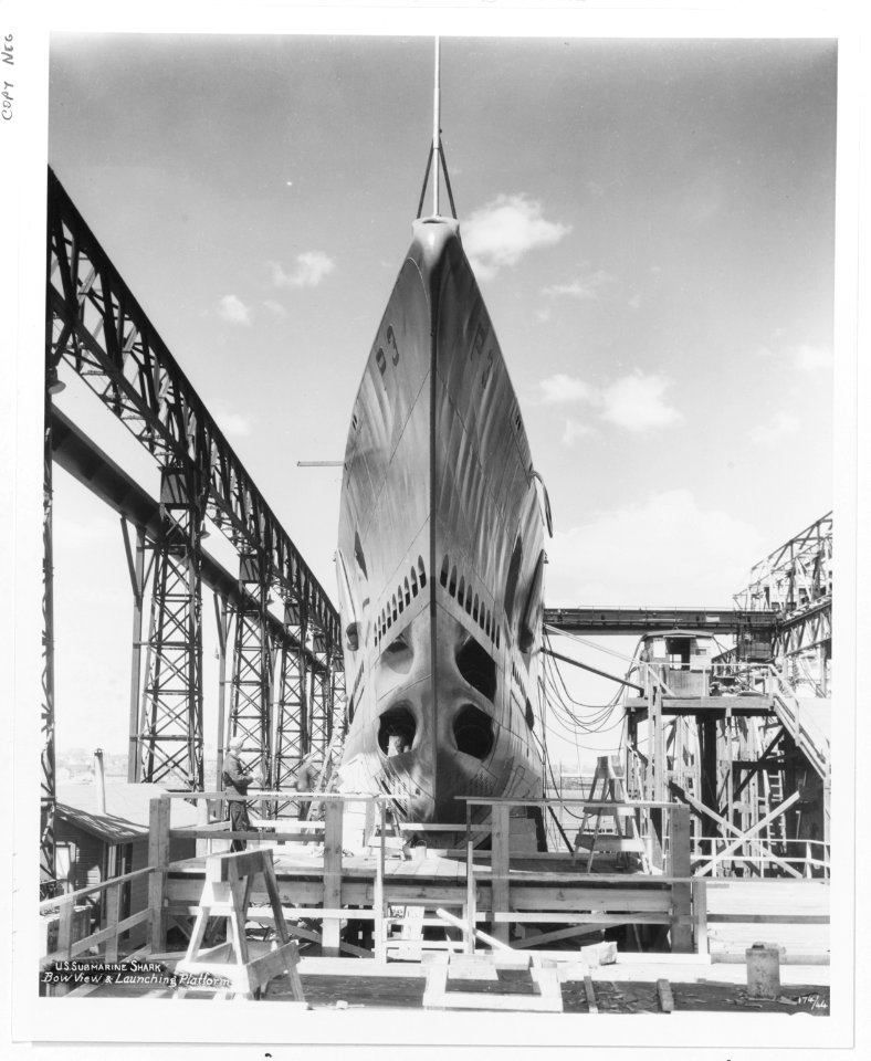 USS Shark (SS-174) - 19-N-16690