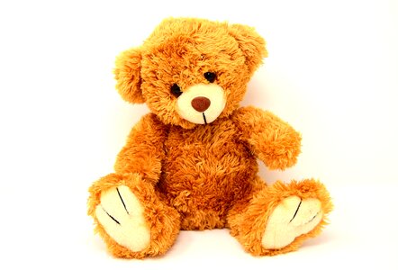 Funny teddy bear cute