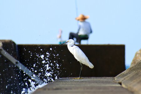 Waterside wave breakwater photo