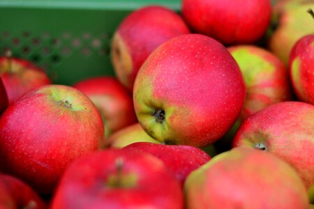Fresh market healthy