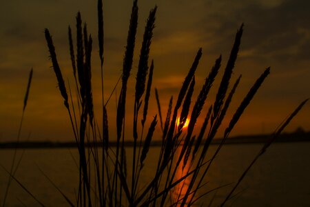Dry landscape sunset photo