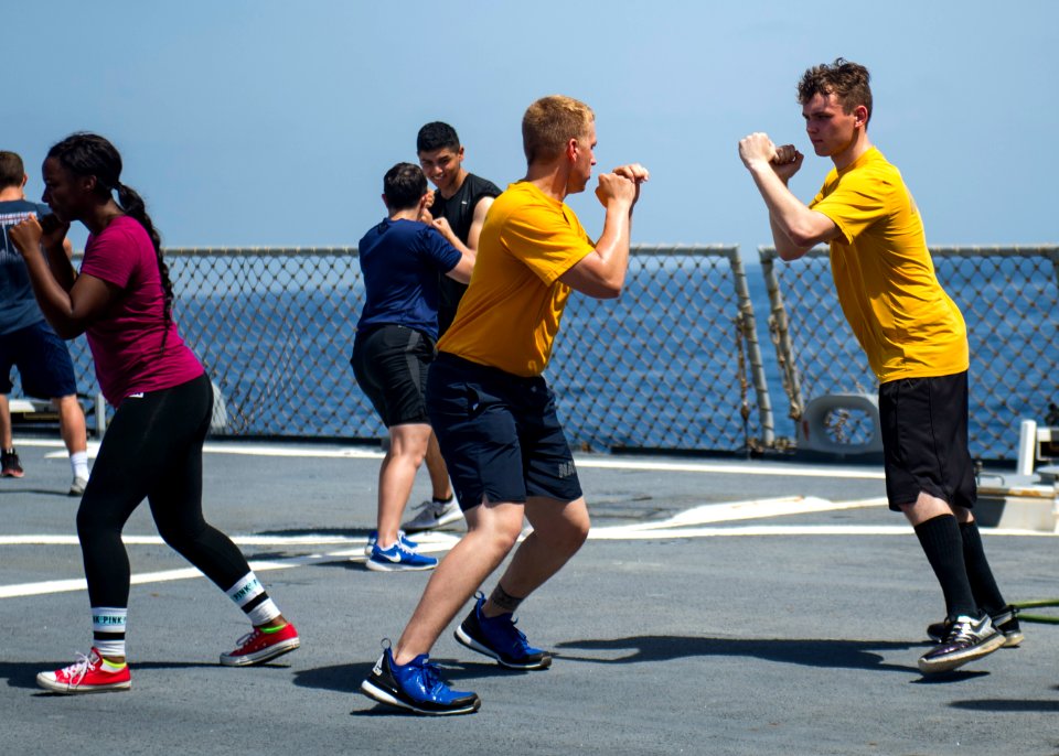 USS STOUT (DDG 55) STRAIT OF HORMUZ TRANSIT 160626-N-GP524-205