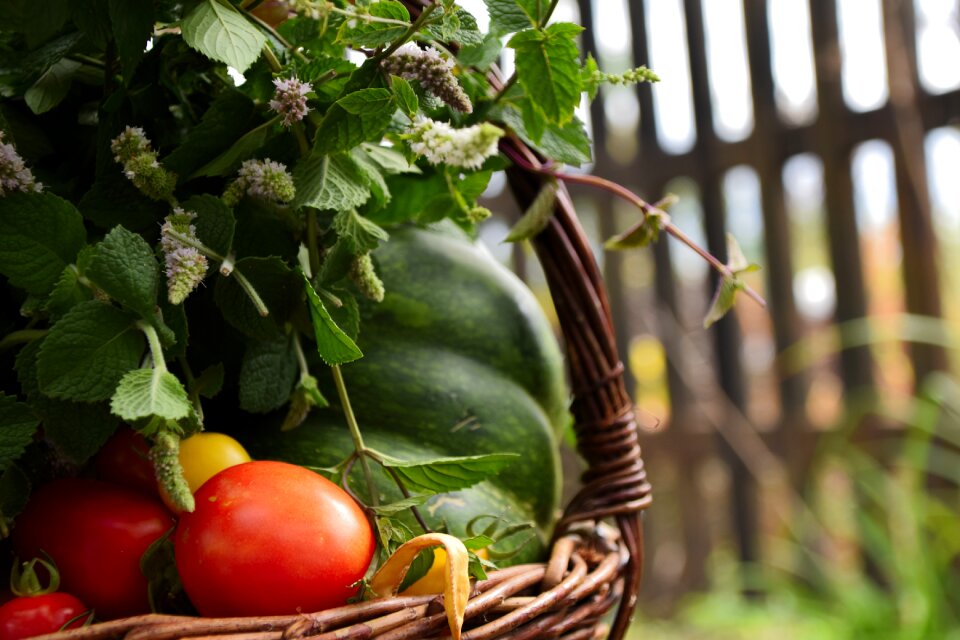 Tomato pumpkin mint