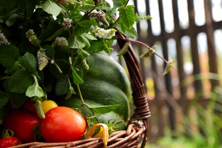 Tomato pumpkin mint