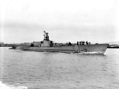 USS Sunfish;0828109 photo