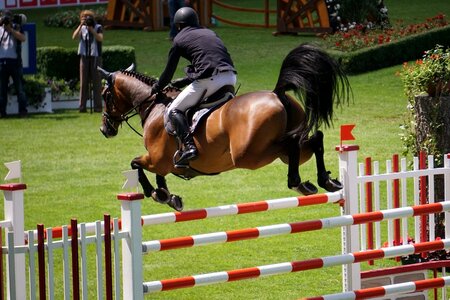 Horses tournament jump photo
