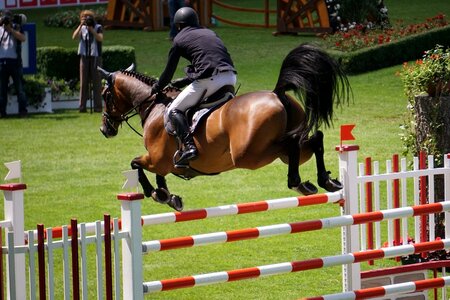 Horses tournament jump