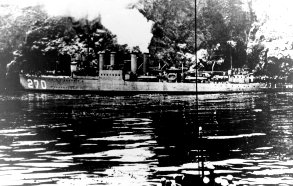 USS Thornton (DD-270) close to shore, circa 1919-1920 (NH 70864)